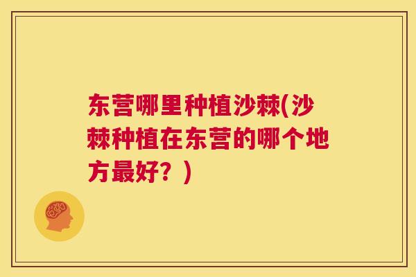 东营哪里种植沙棘(沙棘种植在东营的哪个地方最好?)