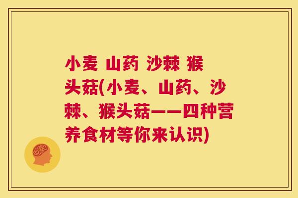 小麦 山药 沙棘 猴头菇(小麦、山药、沙棘、猴头菇——四种营养食材等你来认识)