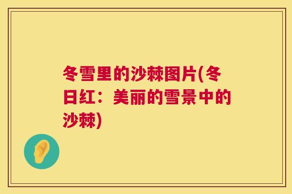 冬雪里的沙棘图片(冬日红:美丽的雪景中的沙棘)