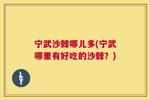 宁武沙棘哪儿多(宁武哪里有好吃的沙棘？)