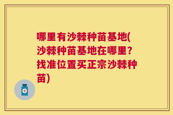 哪里有沙棘种苗基地(沙棘种苗基地在哪里？找准位置买正宗沙棘种苗)