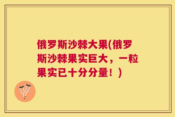 俄罗斯沙棘大果(俄罗斯沙棘果实巨大，一粒果实已十分分量！)