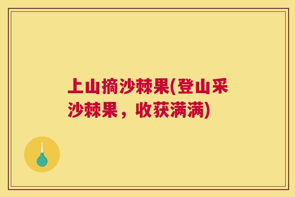 上山摘沙棘果(登山采沙棘果,收获满满) 上山摘沙棘果(登山采沙棘果,收获满满)