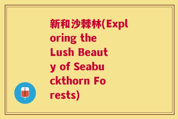 新和沙棘林(Exploring the Lush Beauty of Seabuckthorn Forests)
