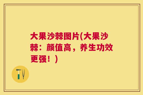 大果沙棘图片(大果沙棘:颜值高,养生功效更强!) 大果沙棘图片(大果沙棘:颜值高,养生功效更强!)