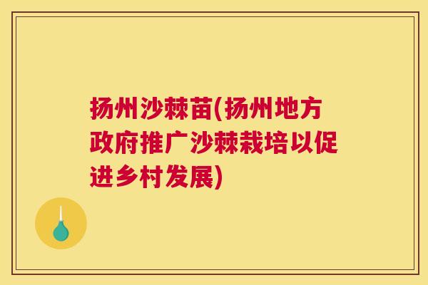 扬州沙棘苗(扬州地方政府推广沙棘栽培以促进乡村发展)