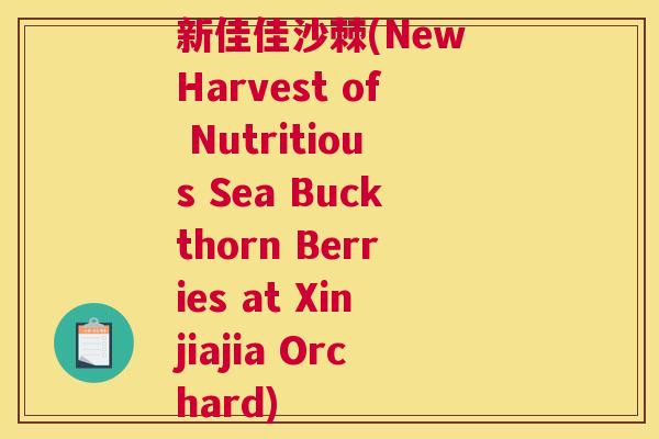 新佳佳沙棘(New Harvest of Nutritious Sea Buckthorn Berries at Xinjiajia Orchard)