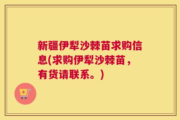 新疆伊犁沙棘苗求购信息(求购伊犁沙棘苗,有货请联系。)