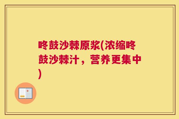 咚鼓沙棘原浆(浓缩咚鼓沙棘汁,营养更集中)