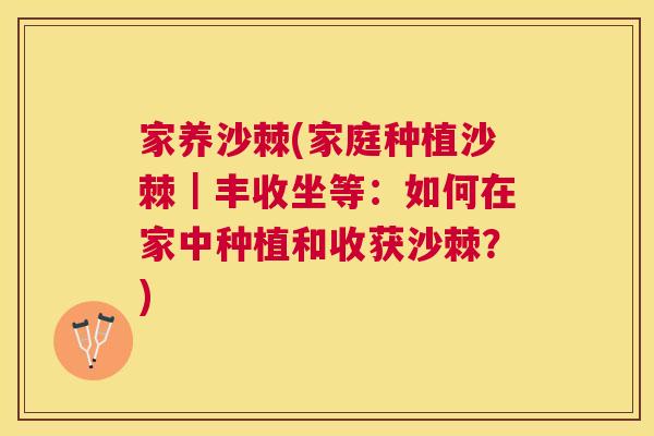 家养沙棘(家庭种植沙棘|丰收坐等:如何在家中种植和收获沙棘?)