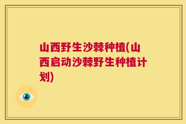 山西野生沙棘种植(山西启动沙棘野生种植计划)