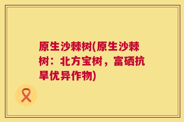 原生沙棘树(原生沙棘树:北方宝树,富硒抗旱优异作物) 原生沙棘树(原生沙棘树:北方宝树,富硒抗旱优异作物)