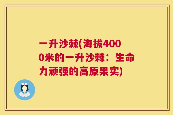 一升沙棘(海拔4000米的一升沙棘：生命力顽强的高原果实)