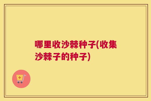 哪里收沙棘种子(收集沙棘子的种子) 哪里收沙棘种子(收集沙棘子的种子)