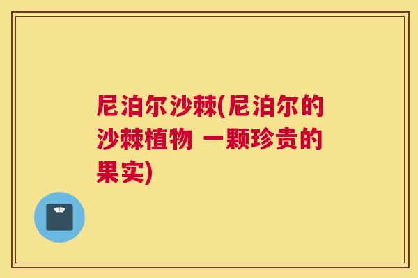 尼泊尔沙棘(尼泊尔的沙棘植物 一颗珍贵的果实)
