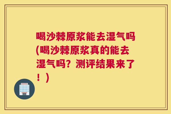 喝沙棘原浆能去湿气吗(喝沙棘原浆真的能去湿气吗？测评结果来了！)
