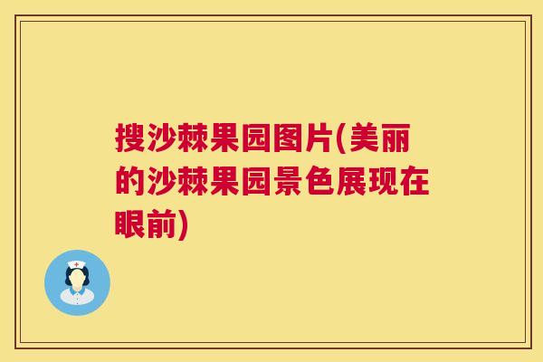 搜沙棘果园图片(美丽的沙棘果园景色展现在眼前)