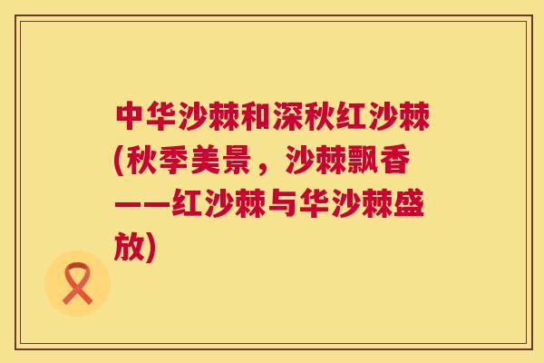 中华沙棘和深秋红沙棘(秋季美景，沙棘飘香——红沙棘与华沙棘盛放)
