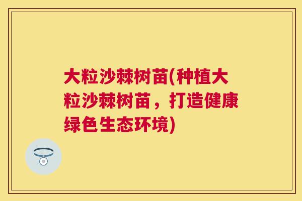 大粒沙棘树苗(种植大粒沙棘树苗,打造健康绿色生态环境)