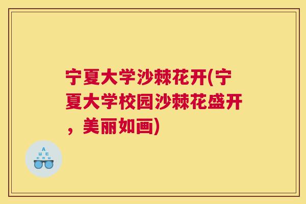 宁夏大学沙棘花开(宁夏大学校园沙棘花盛开，美丽如画)