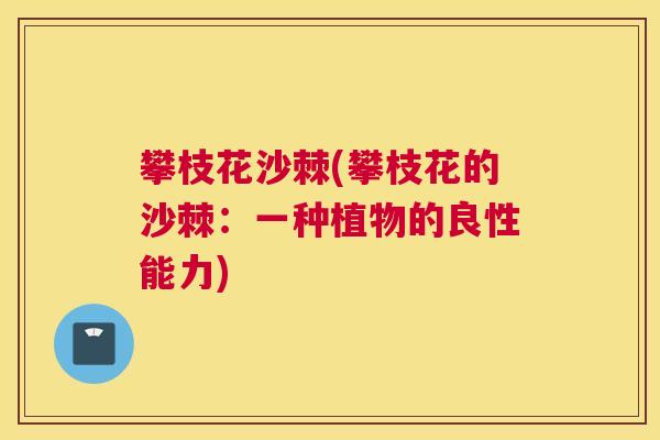 攀枝花沙棘(攀枝花的沙棘:一种植物的良性能力)