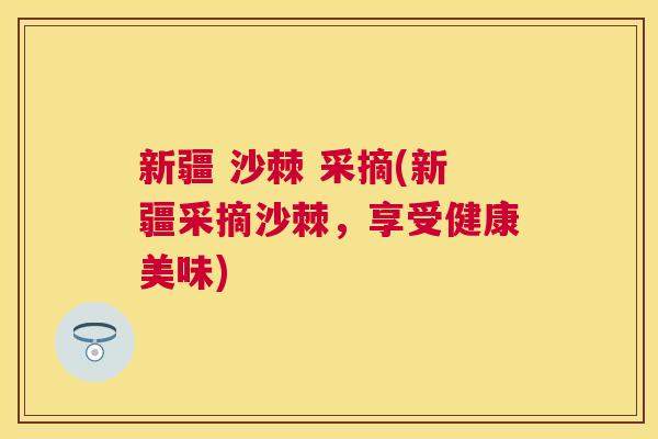 新疆 沙棘 采摘(新疆采摘沙棘,享受健康美味)