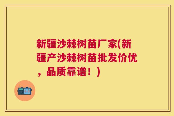 新疆沙棘树苗厂家(新疆产沙棘树苗批发价优,品质靠谱!)