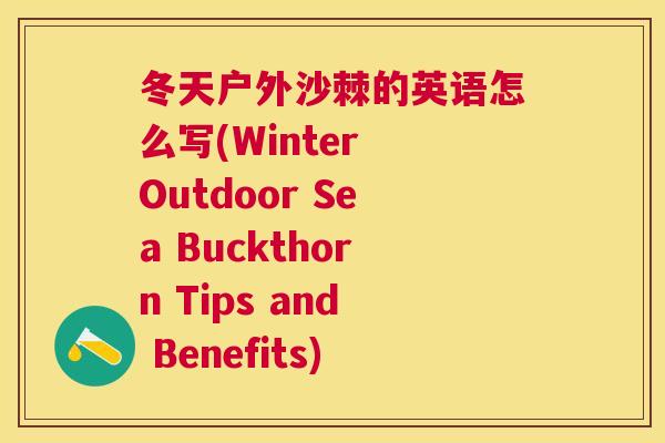 冬天户外沙棘的英语怎么写(Winter Outdoor Sea Buckthorn Tips and Benefits)