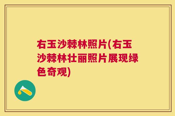 右玉沙棘林照片(右玉沙棘林壮丽照片展现绿色奇观)
