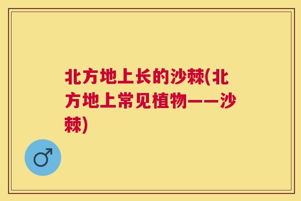 北方地上长的沙棘(北方地上常见植物——沙棘)