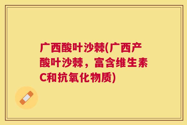 广西酸叶沙棘(广西产酸叶沙棘,富含维生素C和抗氧化物质)