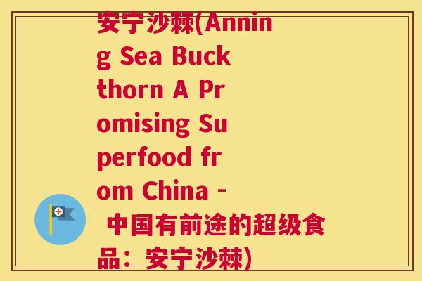 安宁沙棘(Anning Sea Buckthorn A Promising Superfood from China - 中国有前途的超级食品:安宁沙棘)
