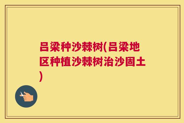 吕梁种沙棘树(吕梁地区种植沙棘树沙固土) 吕梁种沙棘树(吕梁地区种植沙棘树沙固土)