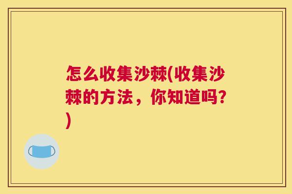 怎么收集沙棘(收集沙棘的方法,你知道吗?)