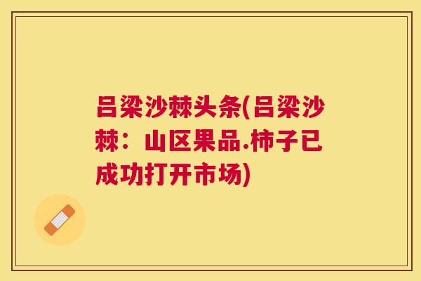 吕梁沙棘头条(吕梁沙棘:山区果品.柿子已成功打开市场)