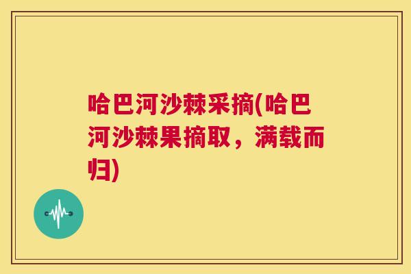 哈巴河沙棘采摘(哈巴河沙棘果摘取，满载而归)
