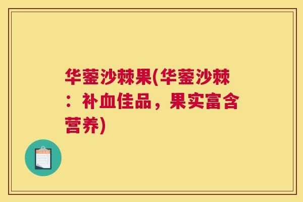 华蓥沙棘果(华蓥沙棘:补佳品,果实富含营养) 华蓥沙棘果(华蓥沙棘:补佳品,果实富含营养)
