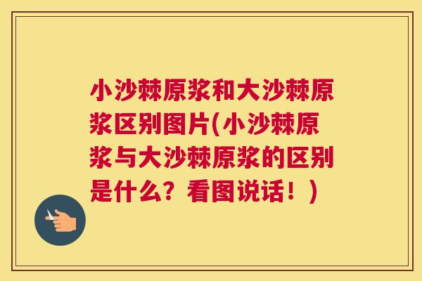 小沙棘原浆和大沙棘原浆区别图片(小沙棘原浆与大沙棘原浆的区别是什么?看图说话!)