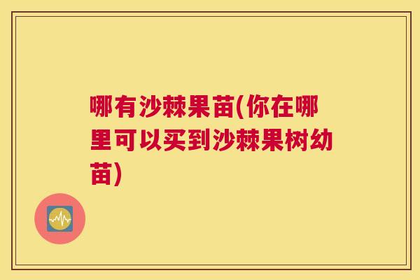哪有沙棘果苗(你在哪里可以买到沙棘果树幼苗)