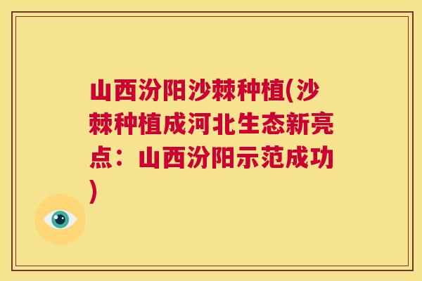 山西汾阳沙棘种植(沙棘种植成河北生态新亮点：山西汾阳示范成功)