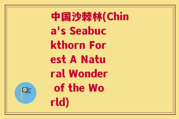 中国沙棘林(China's Seabuckthorn Forest A Natural Wonder of the World)
