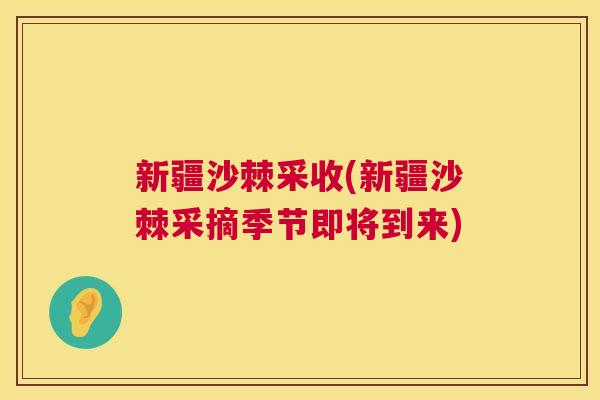新疆沙棘采收(新疆沙棘采摘季节即将到来)