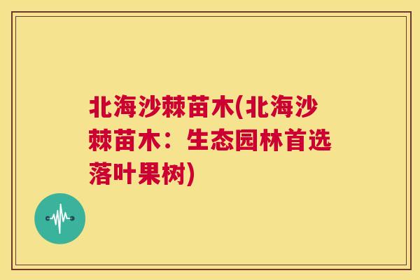 北海沙棘苗木(北海沙棘苗木：生态园林首选落叶果树)