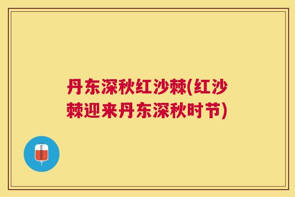 丹东深秋红沙棘(红沙棘迎来丹东深秋时节)