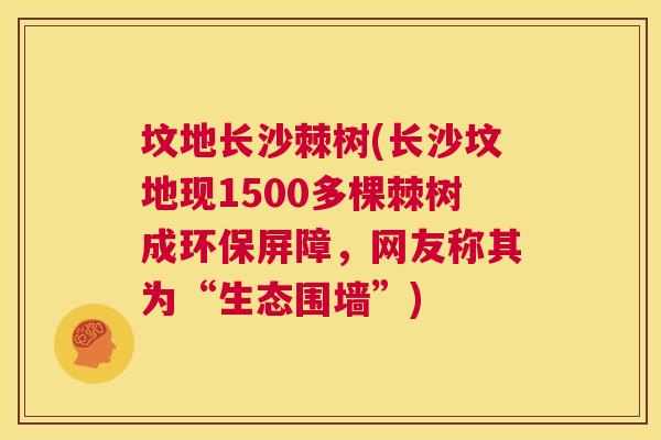 坟地长沙棘树(长沙坟地现1500多棵棘树成环保屏障，网友称其为“生态围墙”)