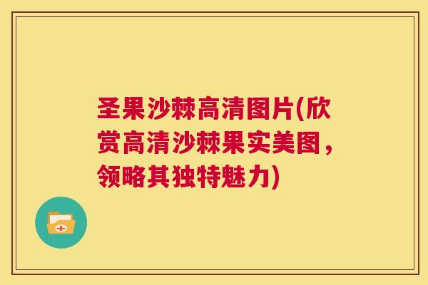 圣果沙棘高清图片(欣赏高清沙棘果实美图，领略其独特魅力)