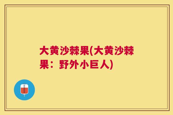 大黄沙棘果(大黄沙棘果:野外小巨人)