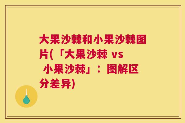 大果沙棘和小果沙棘图片(「大果沙棘 vs 小果沙棘」：图解区分差异)