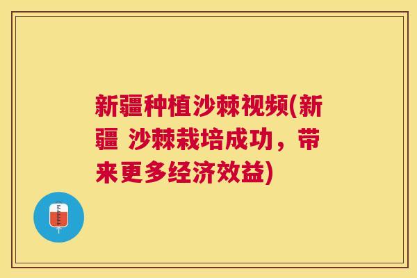 新疆种植沙棘视频(新疆 沙棘栽培成功,带来更多经济效益)
