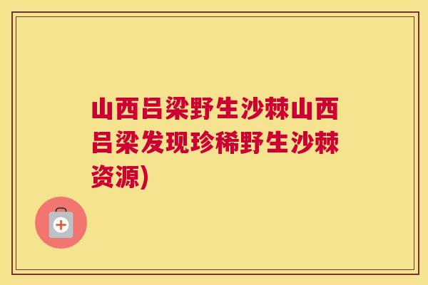 山西吕梁野生沙棘山西吕梁发现珍稀野生沙棘资源)